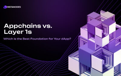 Appchains vs. Layer-1 Solutions: Which is Right for Your DApp?