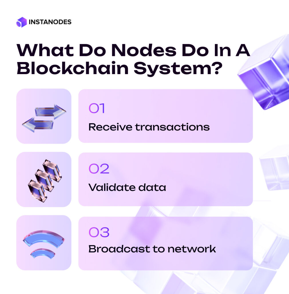 What Do Nodes Do In A Blockchain System Infographic
