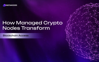 Crypto Nodes: Simplifying Blockchain Access for Businesses and Developers