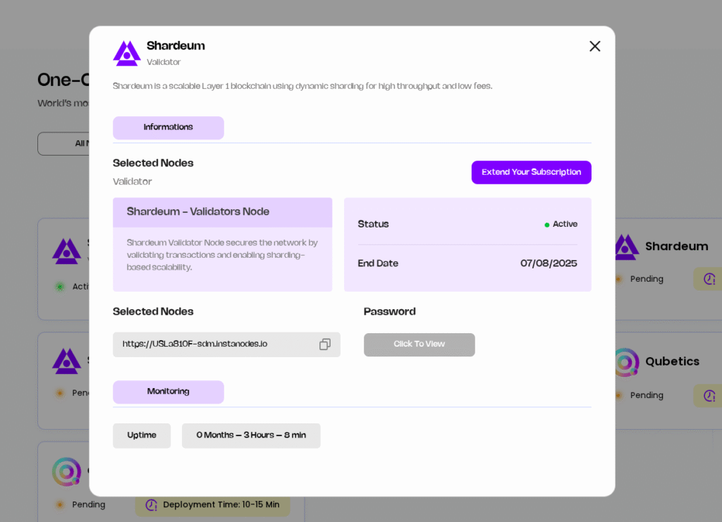 Node Detail Page Screenshot