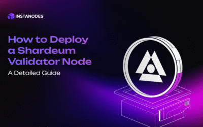 How To Deploy a Shardeum Validator Node- A Detailed Guide