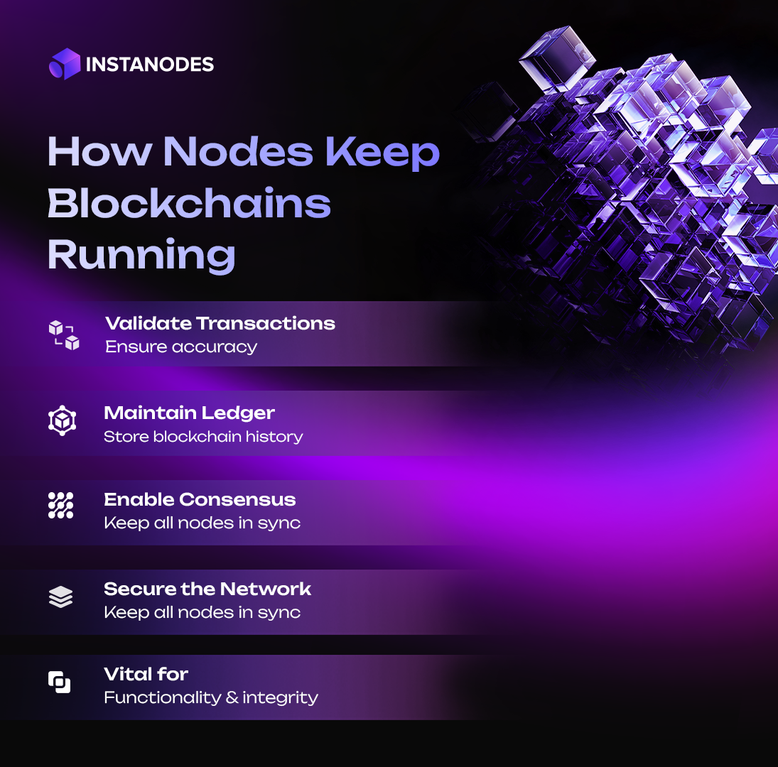 How Nodes Keep Blockchains Running Infographic