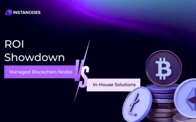 Instanodes vs. In-House Node Management: ROI Breakdown for Launch Teams